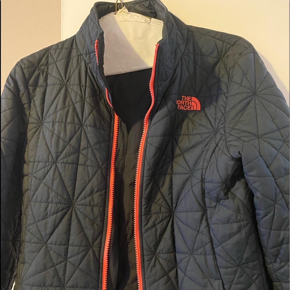 Blue and Pink North Face Ladies Jacket